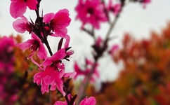 影音先锋男人qq813